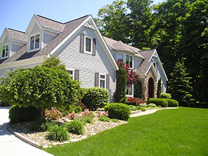Shrub Pruning